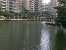 丽日玫瑰 两套打通楼 王 南向望湖 装修漂亮 温馨舒服