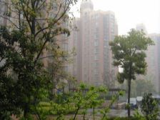 主卧朝南,环境优美,交通便利,居家装修