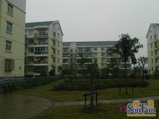 顺馨佳园 1室2厅 南 北