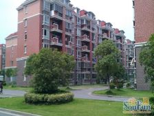 HJ楼层户型正气位置优越视野舒适看房方便