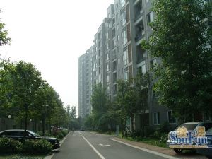 川音嘉苑1室1厅北