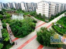 兴龙湖 永川荷塘月色三房88万