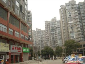 楼层好 采光好,自住装修保养好 双地铁口,位置好