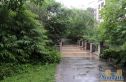 花样年别样城实景图