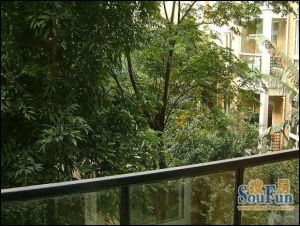 云影苑 3室2厅 东南