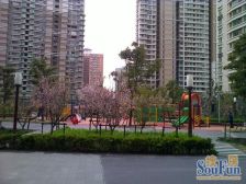 近期必售 慧芝湖二期 真楼枉 不靠马路 百米楼间距