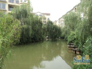 花样年别样城2室1厅南