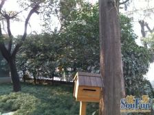 兴国路,湖南路,一楼带院子,精装修,生活环境幽静