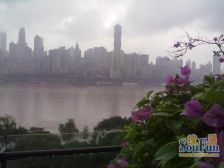 南滨路 东原品质 一线江景小户型 (看渝中半岛)