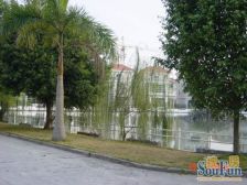 玫瑰花园 2室2厅 南 西南