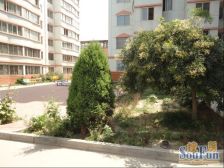 甘南小区,电梯房,距离地铁口近,公摊面积小。