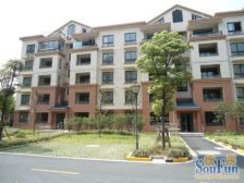 莘闵电梯复式,带阁楼,不计产证面积,满五年!