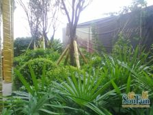 环线南滨路 看江小户型 住宅一线江景 视野开阔诚心卖