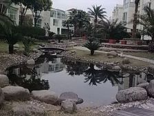 现代缘墅 4室2厅2卫 南