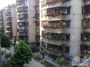 桂城地铁口,户型方正实用,通风彩光好生活配套成熟。