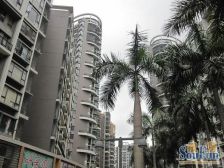 万科金色家园70年产权小户型出售 装修新净