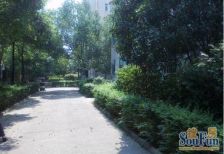 八方小区叠墅小区中间位置上下共三层使用面积大