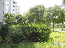 大三房,带大阁楼,简单装修,好位置