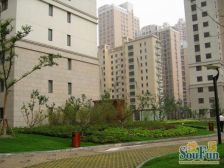 北蔡·大华锦绣华城十五街区·1室·1厅