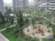 锦江城市花园3期 2室1厅 西南