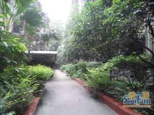 桂王桥东街4号 3室1厅 西南