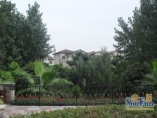 彩云湖1号,联排别墅,带花园,带车位