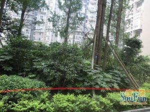 富豪新岸2室1厅南