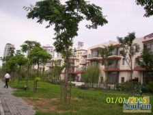 7/15号线双轨别墅 南进门 采光好 近门口出行方便