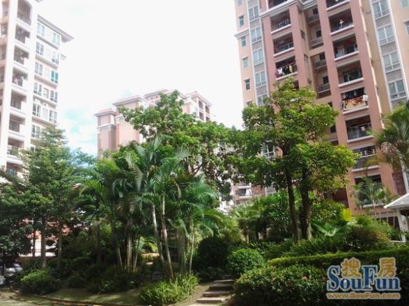 御隆廷实景图