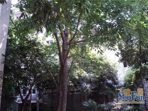 府河菁华 3室2厅 东