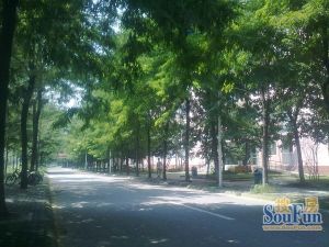 蜀都新邨3室1厅东南