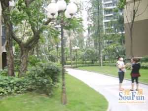 空港晶座3室2厅西南