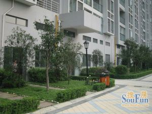 红帆蓝调 3室2厅 西北