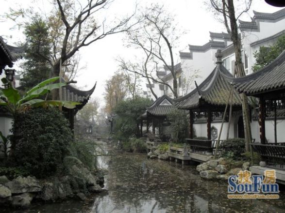 都江之春实景图