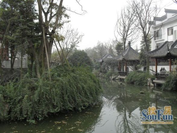 都江之春实景图