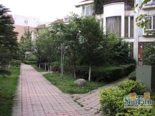 西区地标 3室2厅 东北