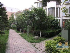 西区地标3室2厅东北