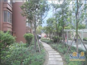 泰基南棠 2室1厅 西北 北