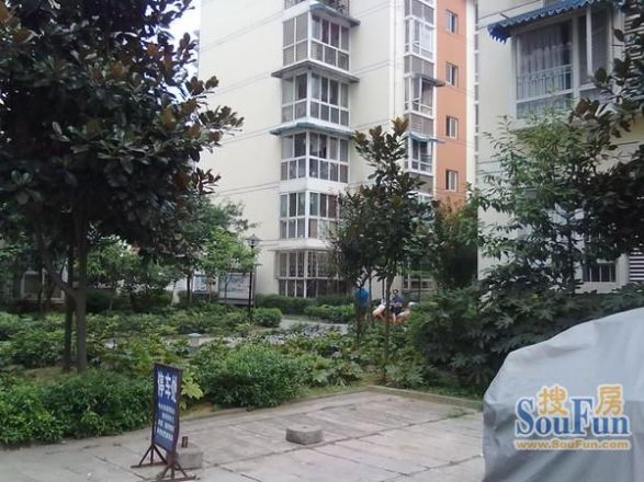 京龙嘉苑实景图