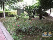 西区花园水云阁 3室2厅 东南