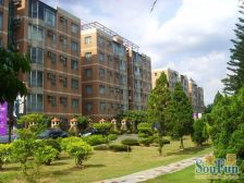 刚需实用户型,户型方正,南向,顶楼建好遮阳房