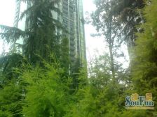 龙头寺 庆业九寨印象一房