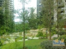 龙头寺 庆业九寨印象三房139万