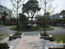 扬盛精装大三房,好楼层 房型正 视野开阔 全明户型。