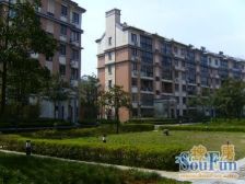 康桥18线旁方便万科物业,景观楼层位置好,看房方便诚意出售.