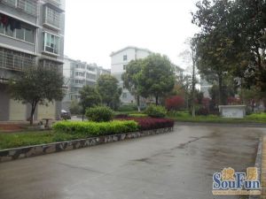 龙福小区3室2厅东南