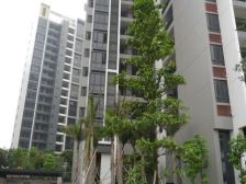 南向电梯两房,总价低,1米八宽大阳台