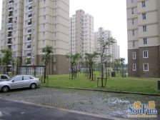 坐拥两大公园与森兰花园城,飞机三房,好楼层好位置!