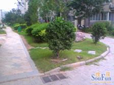 长江路大学路万达旁低楼层,看房方便。