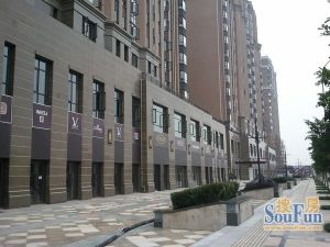 丽都花园丽府4室1厅西南